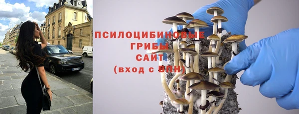 тгк Приозерск