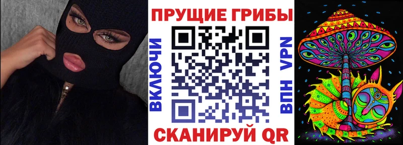 Псилоцибиновые грибы Magic Shrooms  Ростов-на-Дону 