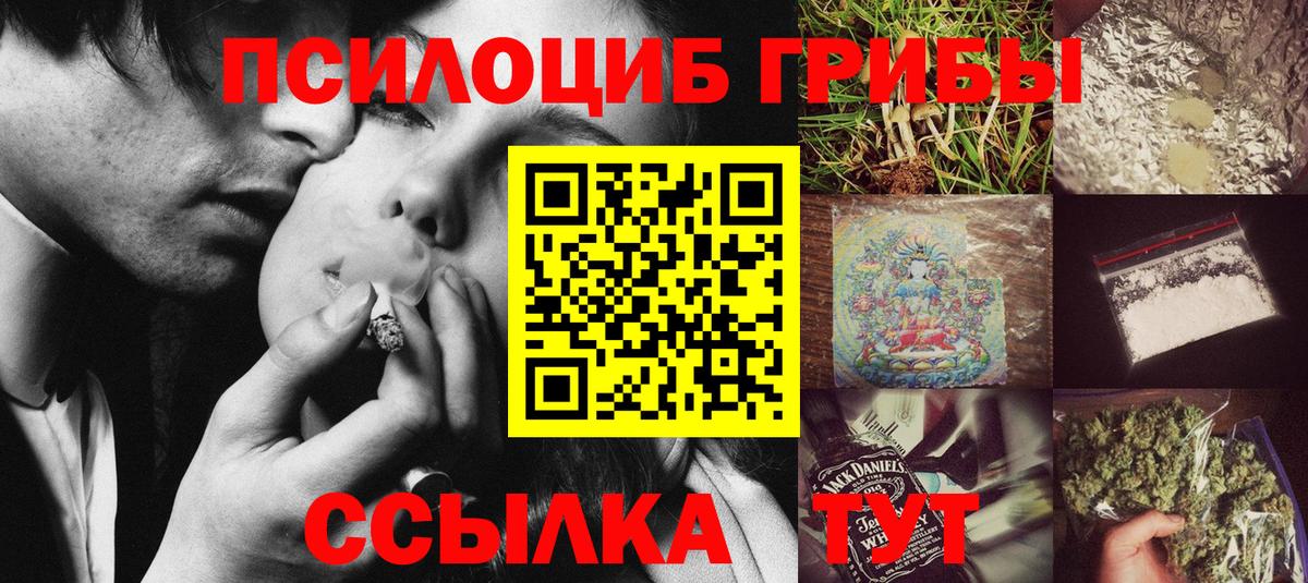 Псилоцибиновые грибы мицелий Ростов-на-Дону