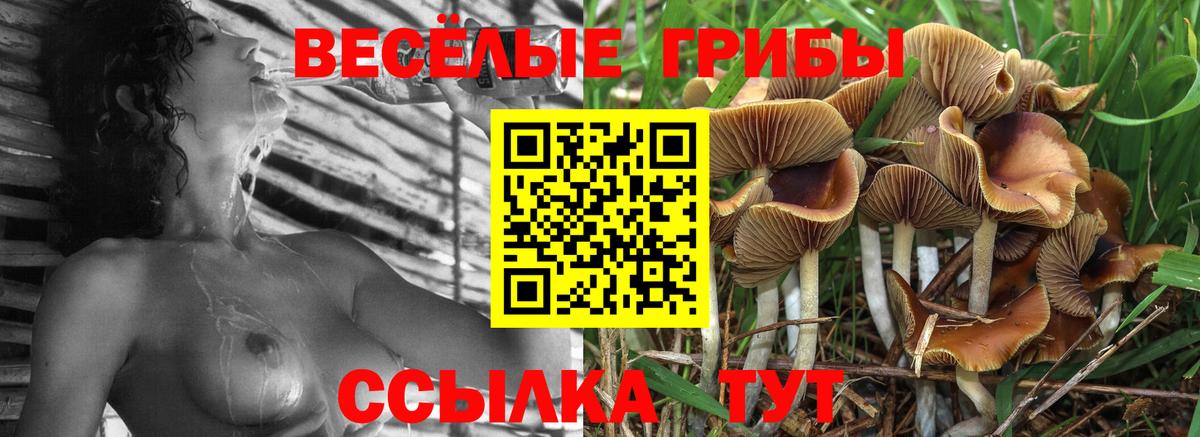 Ростов-на-Дону  Галлюциногенные грибы прущие грибы  Вход с VPN 